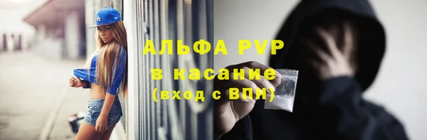 ECSTASY Елизово