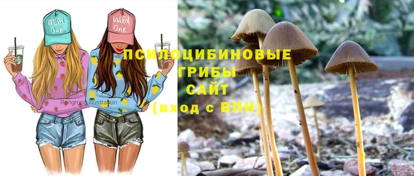 герыч Елабуга