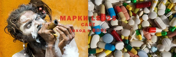 ECSTASY Елизово