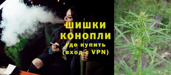 ECSTASY Елизово