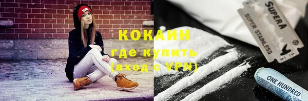 ECSTASY Елизово