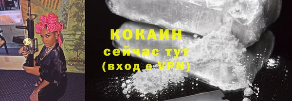 МДМА Ельня