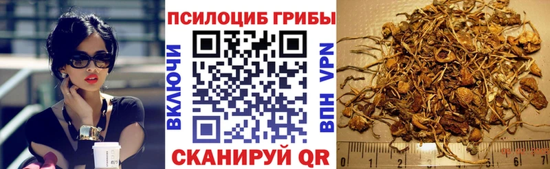 Купить где  Николаевск  Галлюциногенные грибы мухоморы 